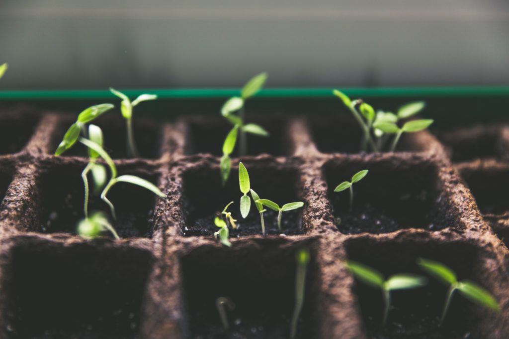 Why growth is key for your business