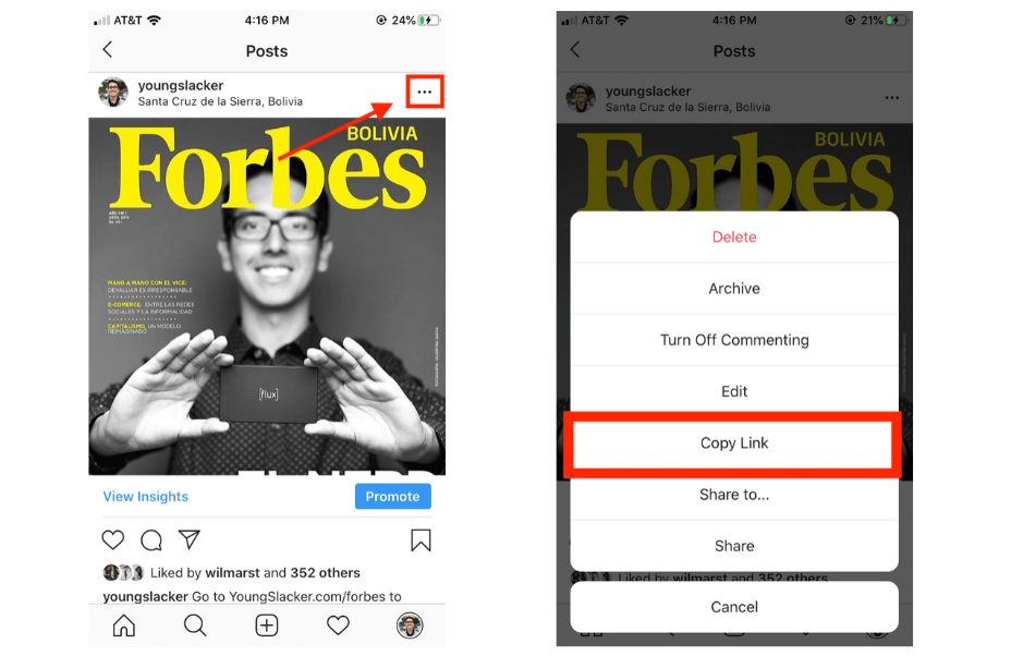 1. Use esses sites para baixar imagens ou vídeos do Instagram